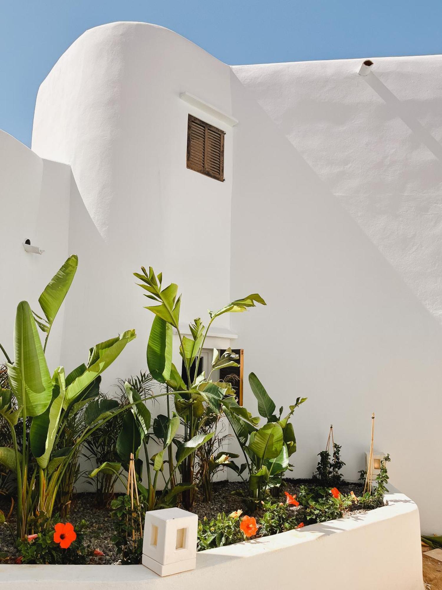 Fergus Style Punta Arabi Hotel Es Canar  Exterior photo